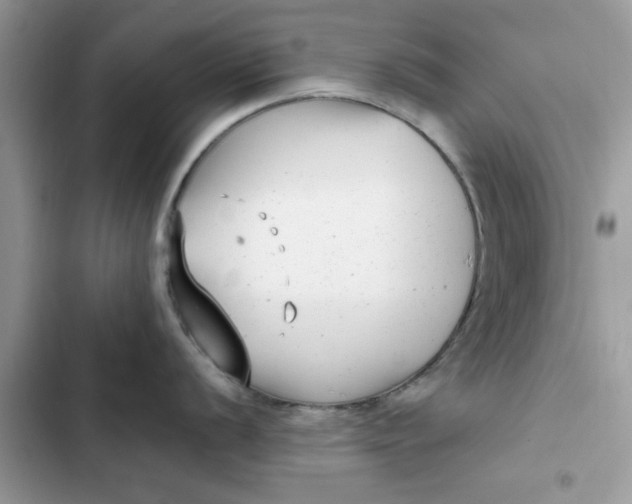 X0000102351056200808151746