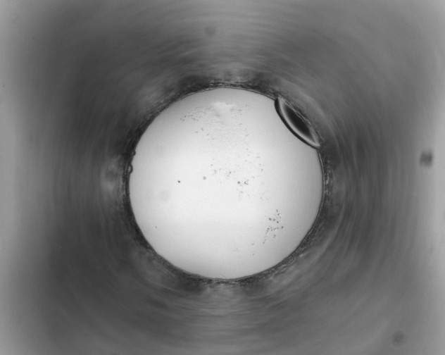 X0000102351058200808151745