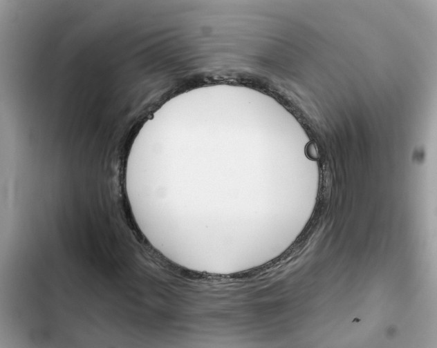 X0000102351060200808151745