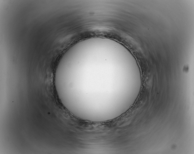 X0000102351061200808151745