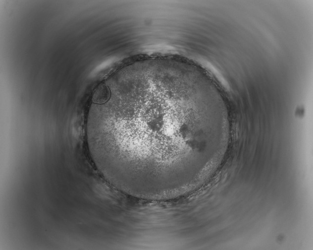 X0000102351063200808151745