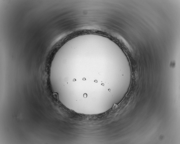 X0000102351064200808151745