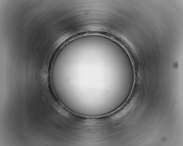 X0000102351065200808151745