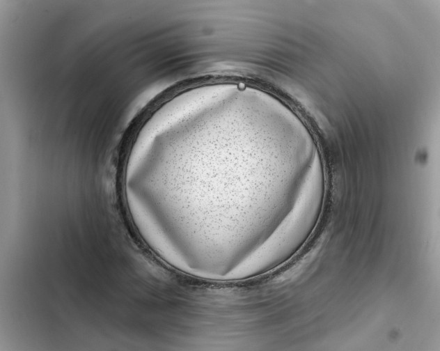 X0000102351066200808151745