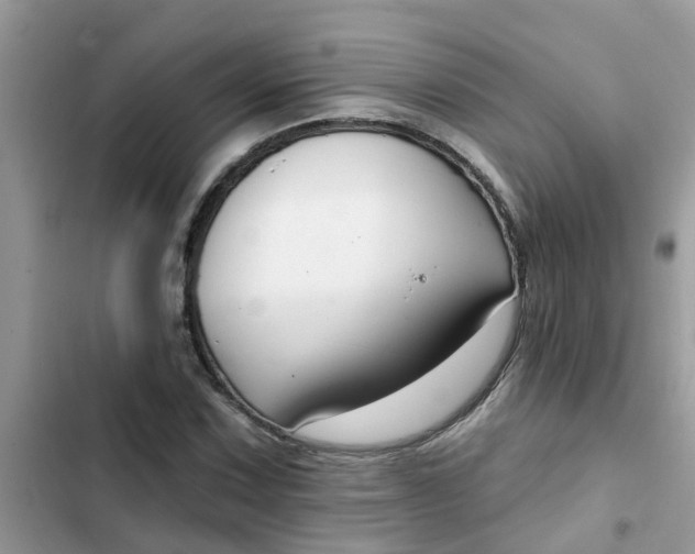 X0000102351067200808151745