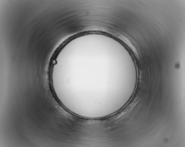 X0000102351068200808151745