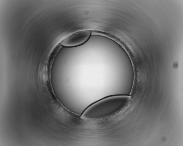 X0000102351069200808151745