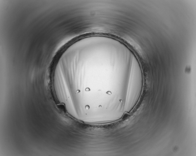 X0000102351070200808151745