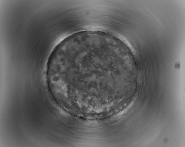 X0000102351071200808151745