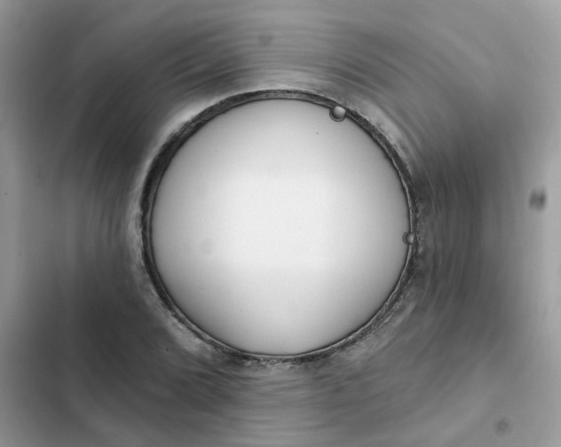 X0000102351072200808151745