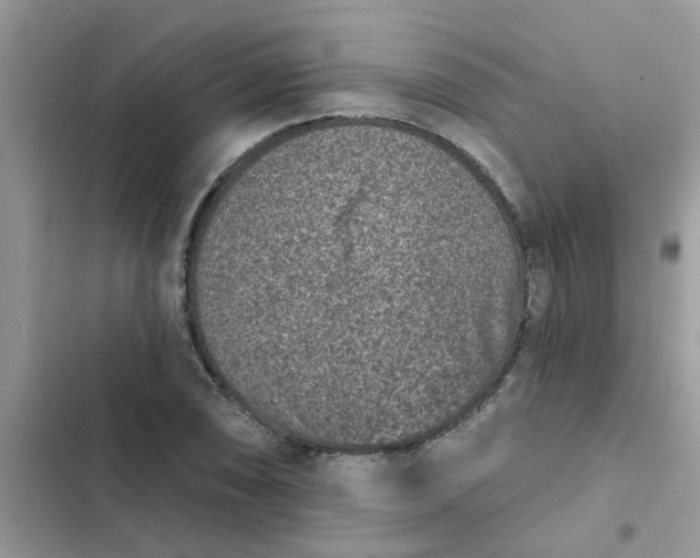 X0000102351074200808151745