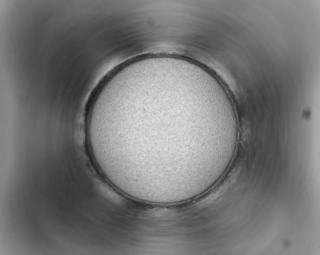 X0000102351075200808151745