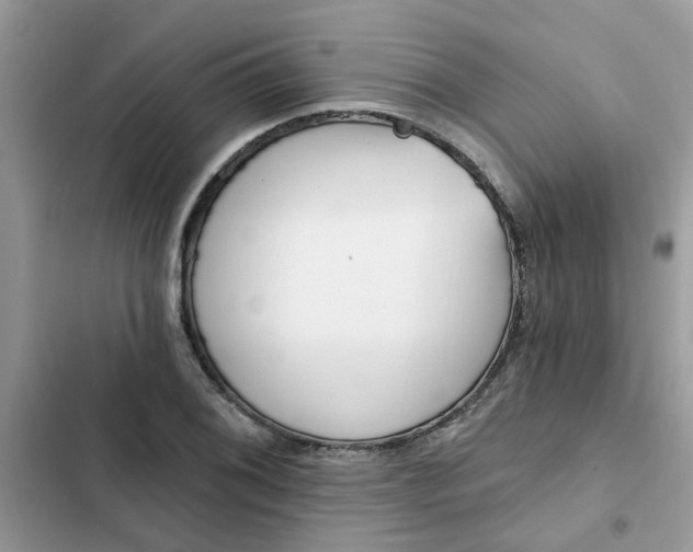 X0000102351076200808151745