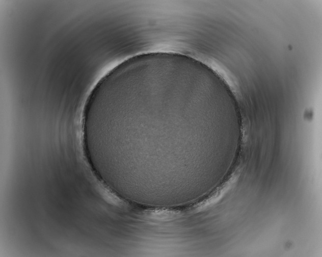 X0000102351077200808151745