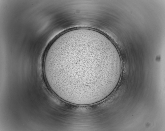 X0000102351078200808151745