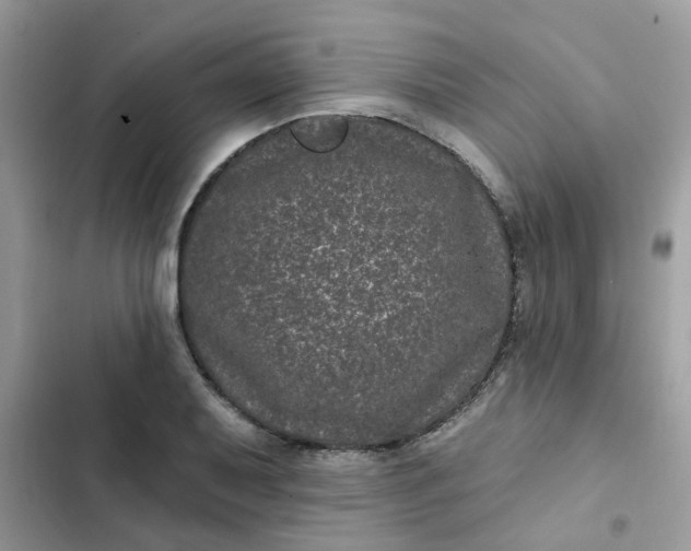 X0000102351079200808151745