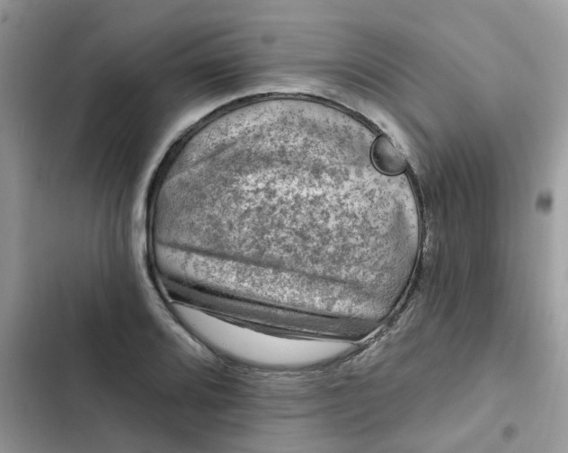 X0000102351080200808151745