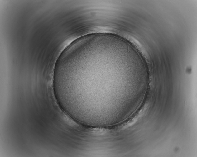 X0000102351081200808151745