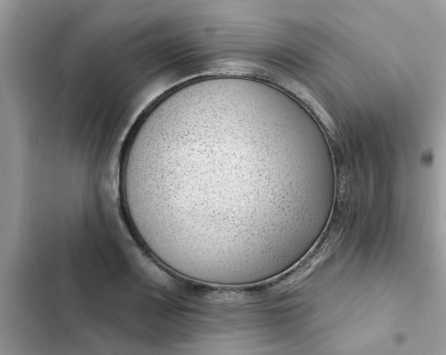 X0000102351083200808151745