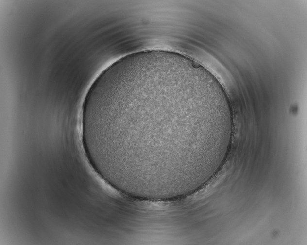 X0000102351084200808151745