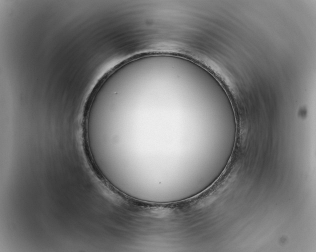 X0000102351085200808151745