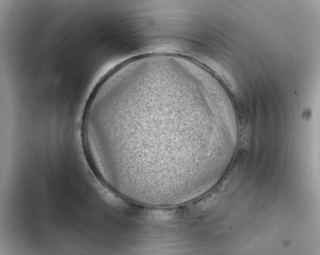 X0000102351086200808151745