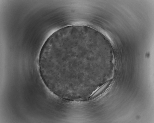 X0000102351087200808151745