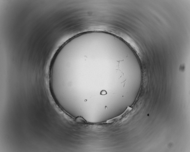 X0000102351088200808151745