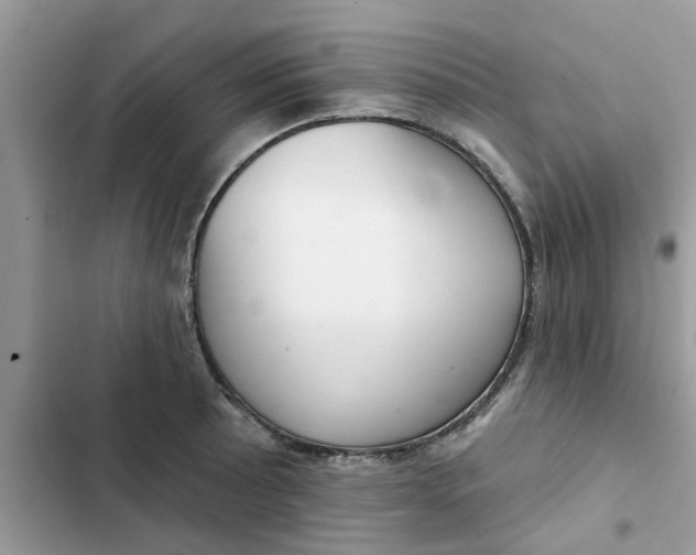 X0000102351089200808151745