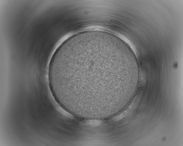 X0000102351090200808151745