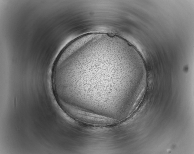 X0000102351091200808151745