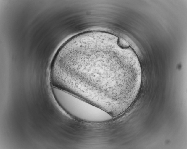 X0000102351092200808151745