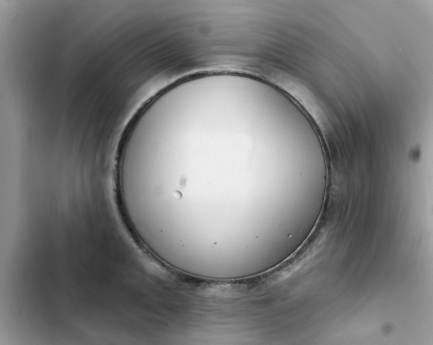 X0000102351093200808151745