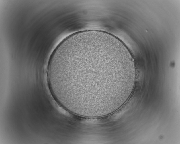 X0000102351094200808151744