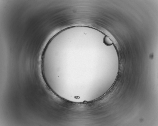 X0000102351096200808151744