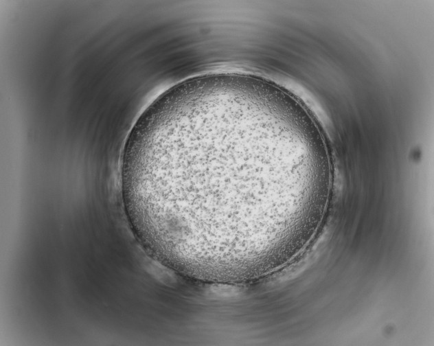 X0000102351097200808151744