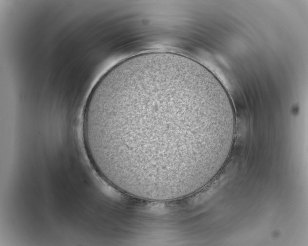 X0000102351098200808151744