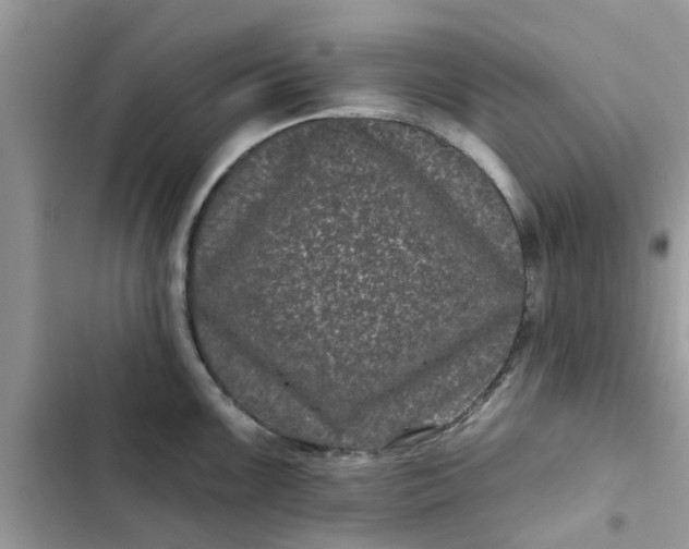 X0000102351099200808151744