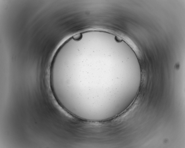 X0000102351100200808151744