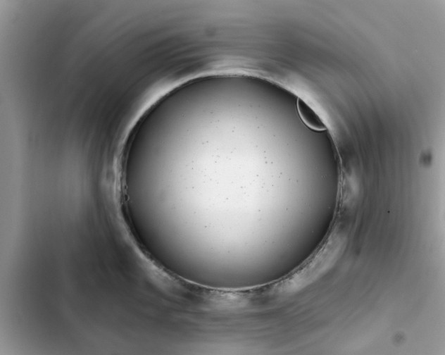 X0000102351101200808151744