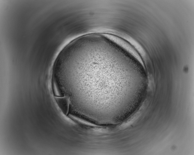 X0000102351102200808151744