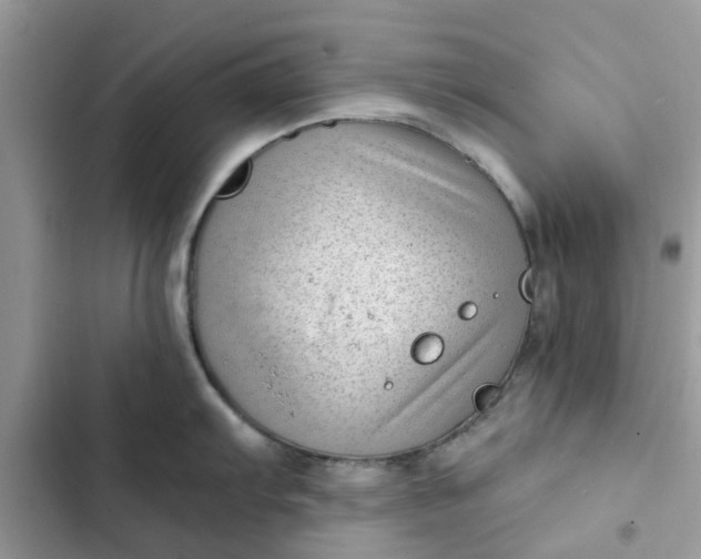 X0000102351103200808151744