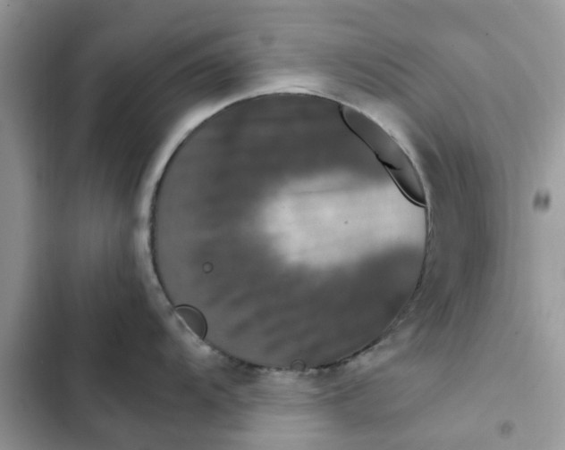 X0000102351104200808151744