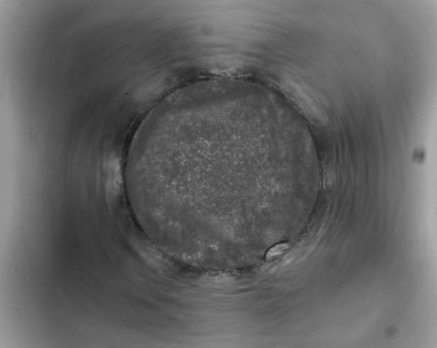 X0000102351106200808151744