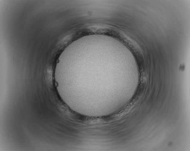 X0000102351108200808151744