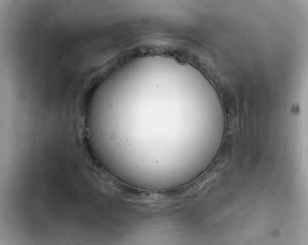 X0000102351109200808151744