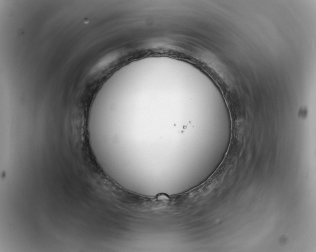 X0000102351111200808151744