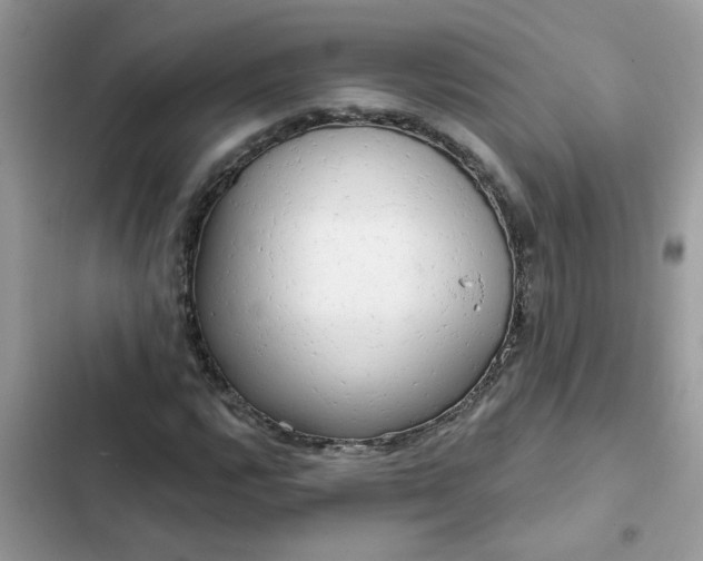 X0000102351112200808151744