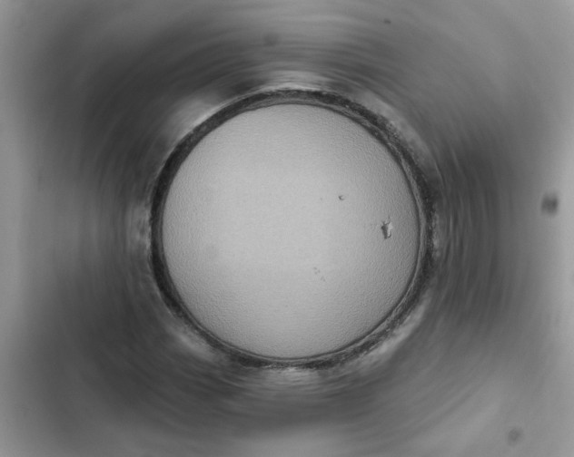 X0000102351113200808151744