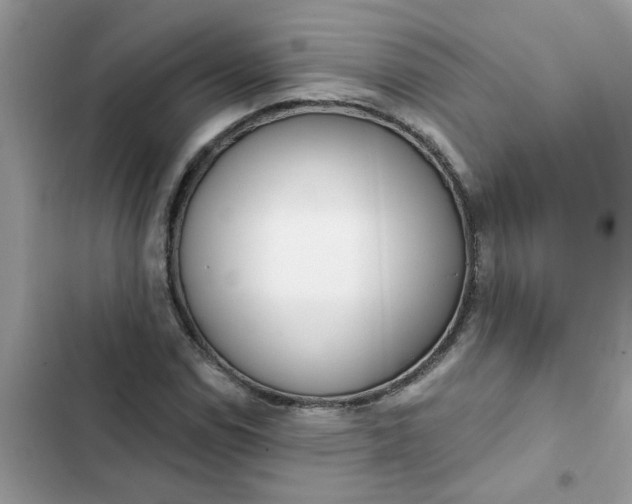 X0000102351114200808151744